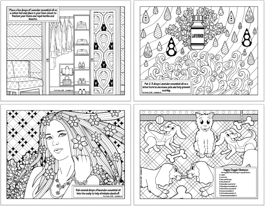 Four lavender essential oil coloring pages. Each page has a lavender essential oil recipe or tip for usage.