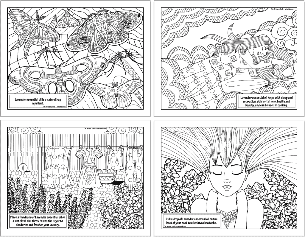 Four lavender essential oil coloring sheets. Each sheet has an image to color and information about how lavender essential oil can be used.