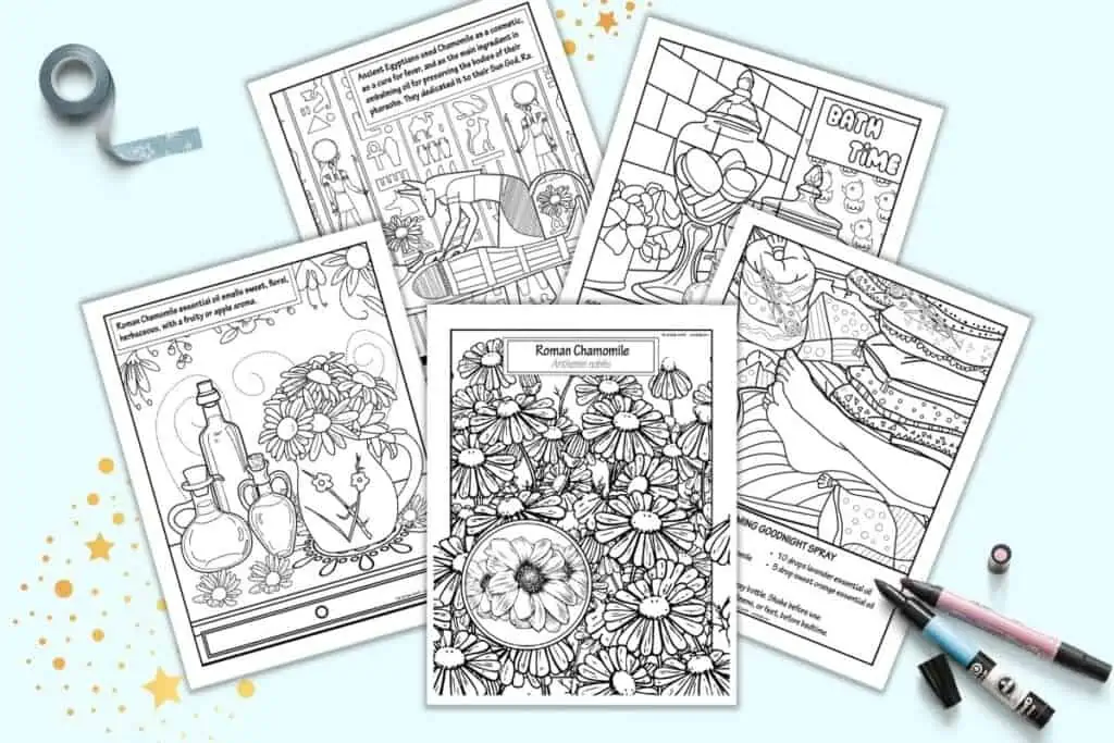 A preview of five printable coloring pages featuring Roman chamomile flowers and information about chamomile essential oil. 