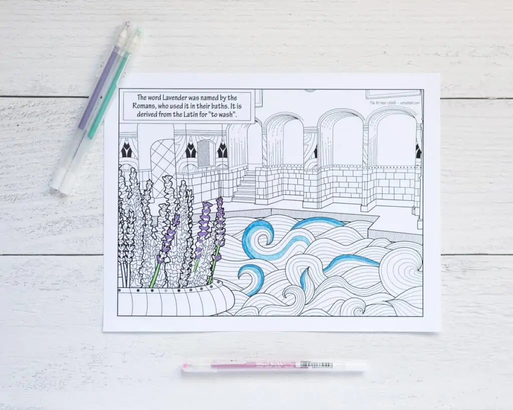 A top down photo of a partially colored coloring sheet featuring lavender in a Roman bath house. 
