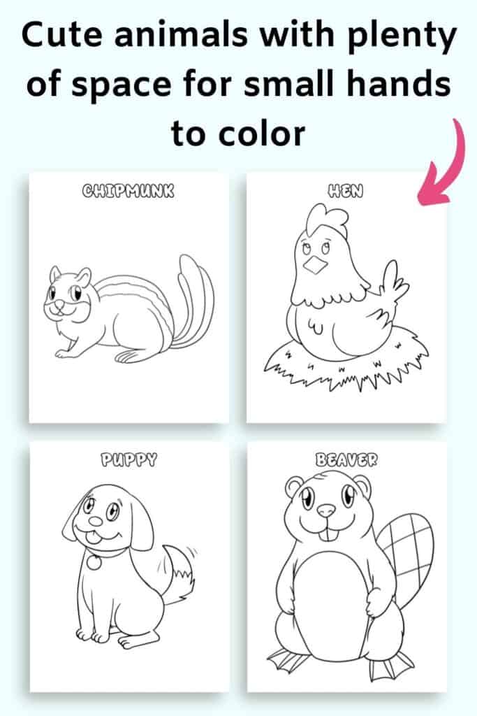 Text "cute animals with plenty of space for small hands to color" with an arrow pointing at four coloring pages. Animals include a chipmunk, a hen, a puppy, and a beaver.