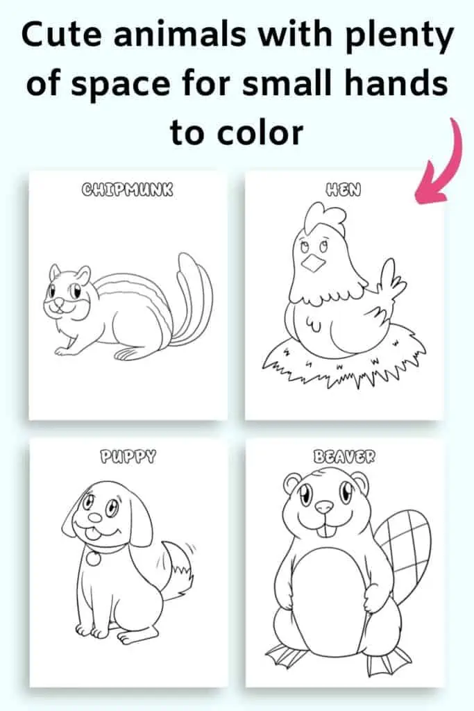 Text "cute animals with plenty of space for small hands to color" with an arrow pointing at four coloring pages. Animals include a chipmunk, a hen, a puppy, and a beaver.