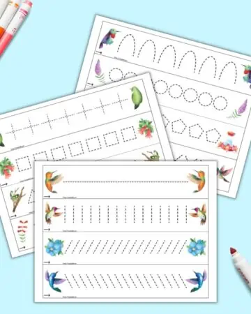 A preview of three pages of hummingbird themed prewriting practice pages. Each page has four lines for preschoolers to trace