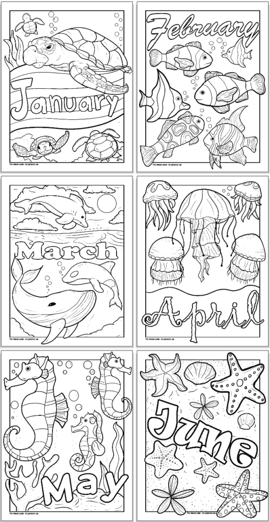 A preview of six printable coloring page ocean themed planner divider pages with months December through June