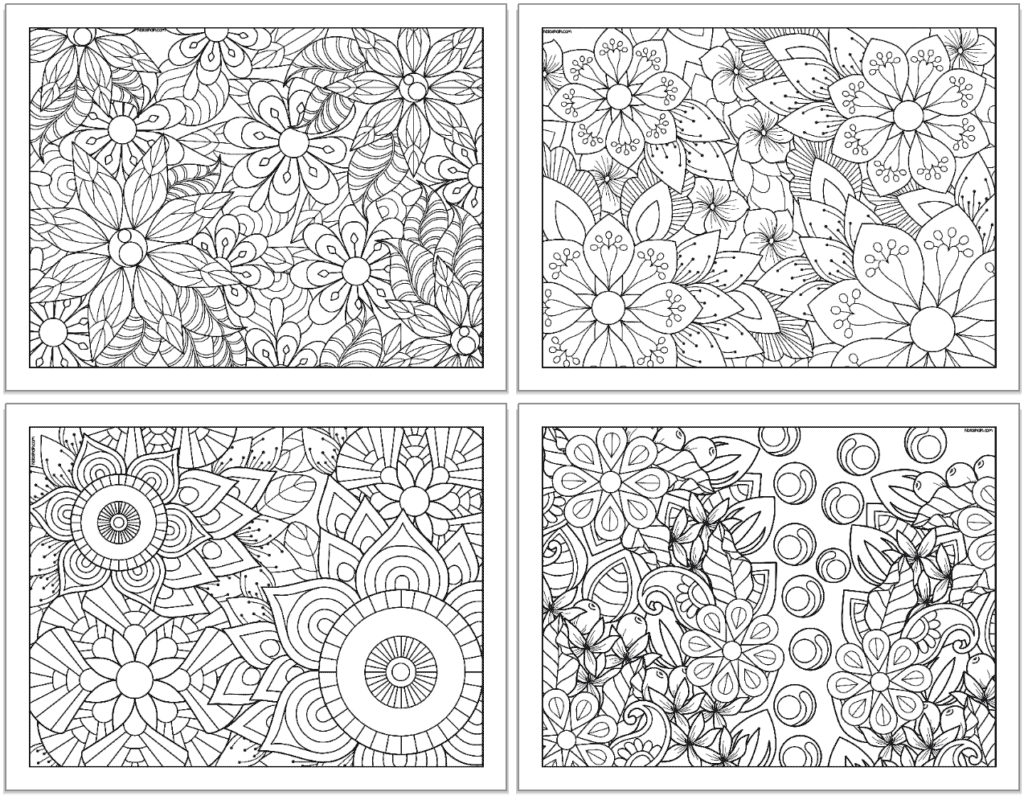 A preview of four detailed, full page flower coloring pages for adults.
