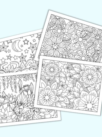 A preview of four flower coloring pages for adults. They have detailed designs and are full page.