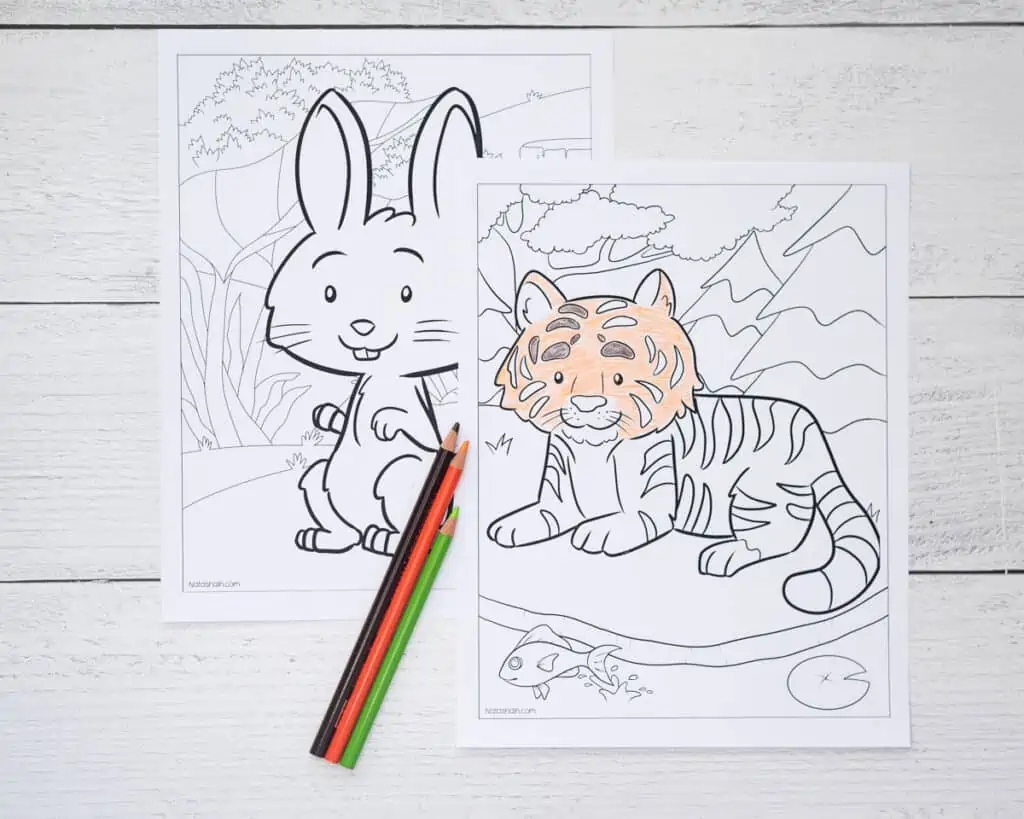 A printed rabbit coloring page and a partially colored tiger coloring page
