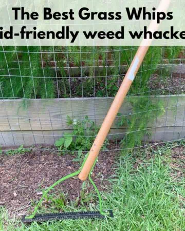 Text "the best grass whips (kid-friendly weed whacker) over a picture of a grass whip