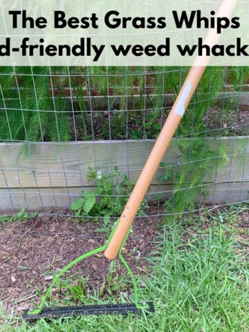 Text "the best grass whips (kid-friendly weed whacker) over a picture of a grass whip