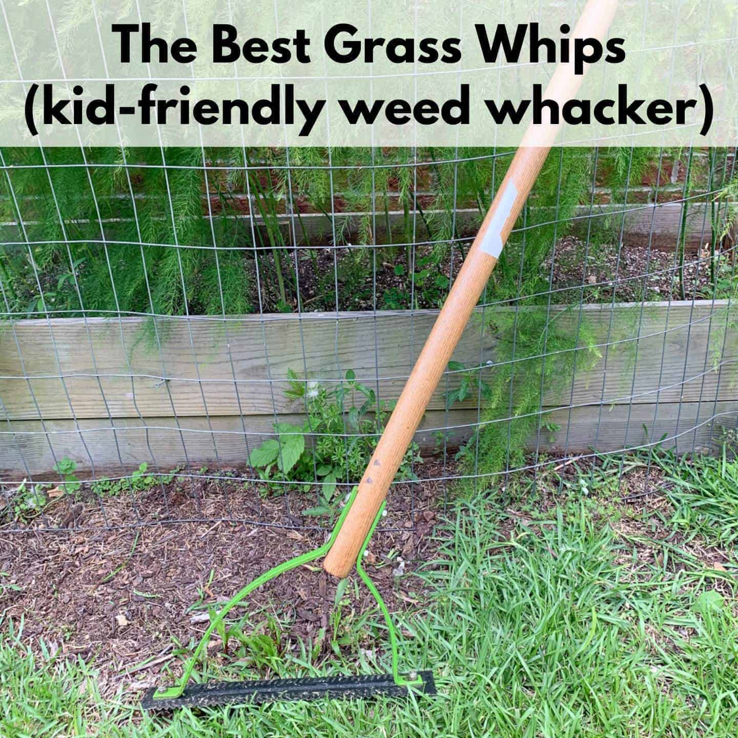 The best grass whips for kid friendly weed whacking the artisan life