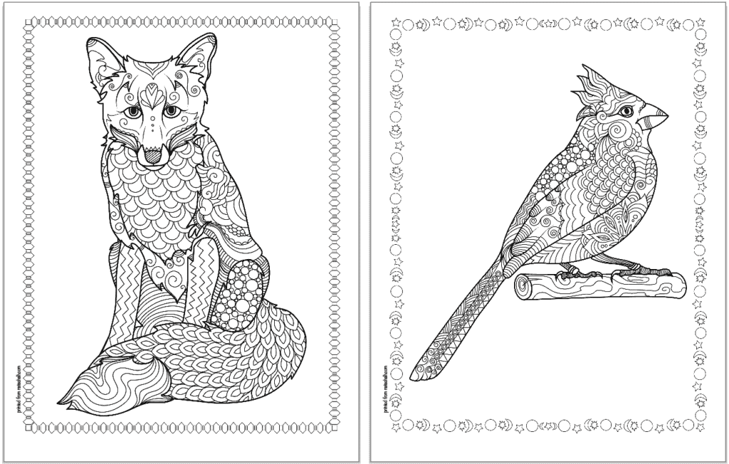 winter animal coloring pages fox and cardinal