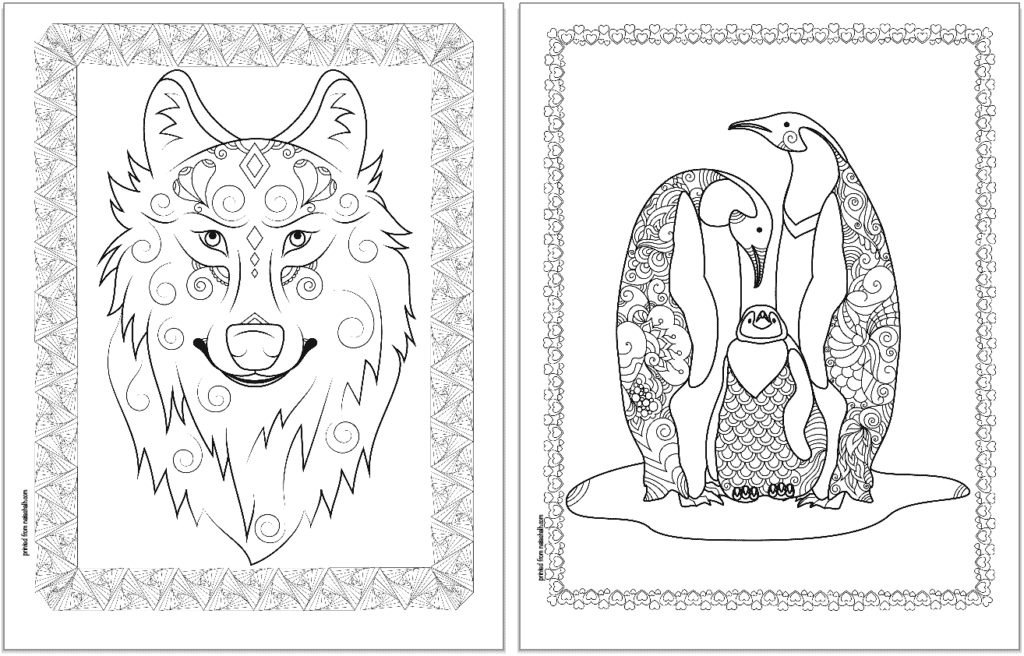 winter animal coloring pages world and penguins