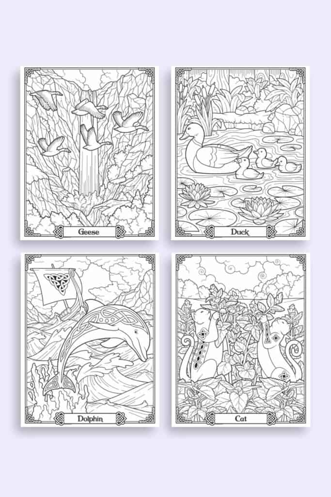 Four celtic animal coloring pages including: geese, duck, dolphin, and cat