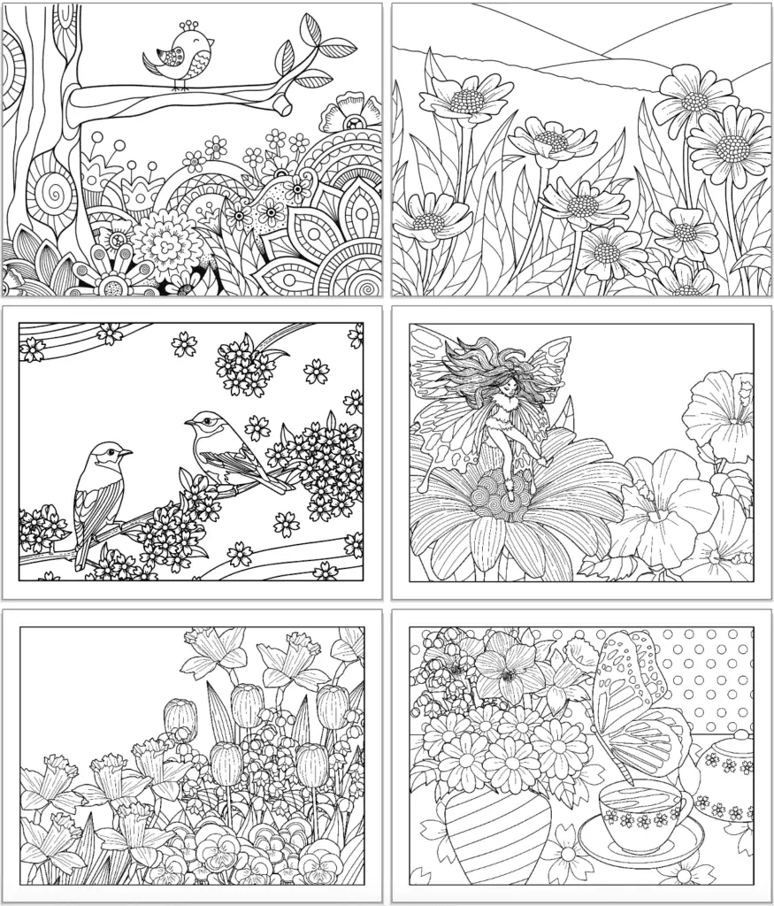 six spring themed coloring pages for adults