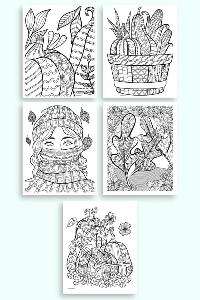 A preview of five detail dial coloring pages for adults with zen-style designs