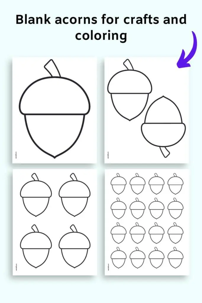A preview of four pages of acorn template in different sizes. All acorns are black and white with blank caps. Sizes include: full page, two to a page, four to a page, and small acorns with 16 on a page.