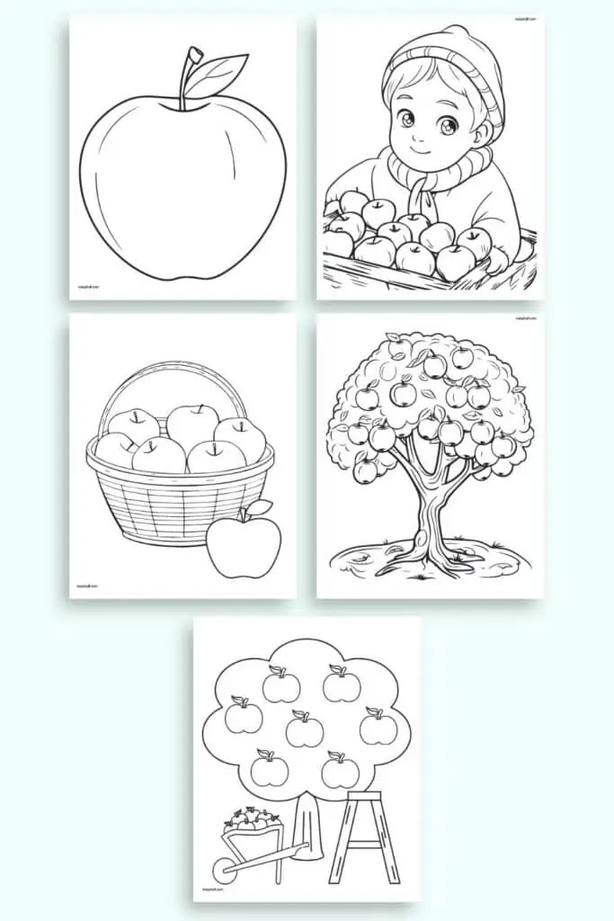 A preview of five simple apple coloring pages for kids