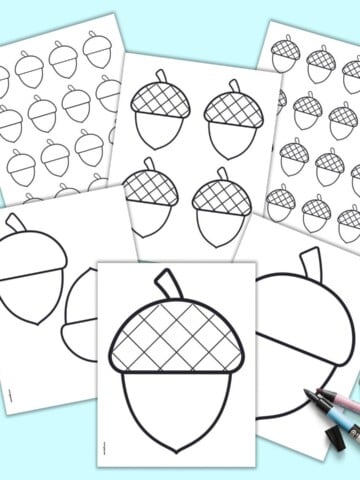A preview of six pages of printable acorn template. The acorn templates range in size for a full page to small across that are 16 to a page. Three pages have acorns with crosshatched caps, three pads have acorns with blank caps.