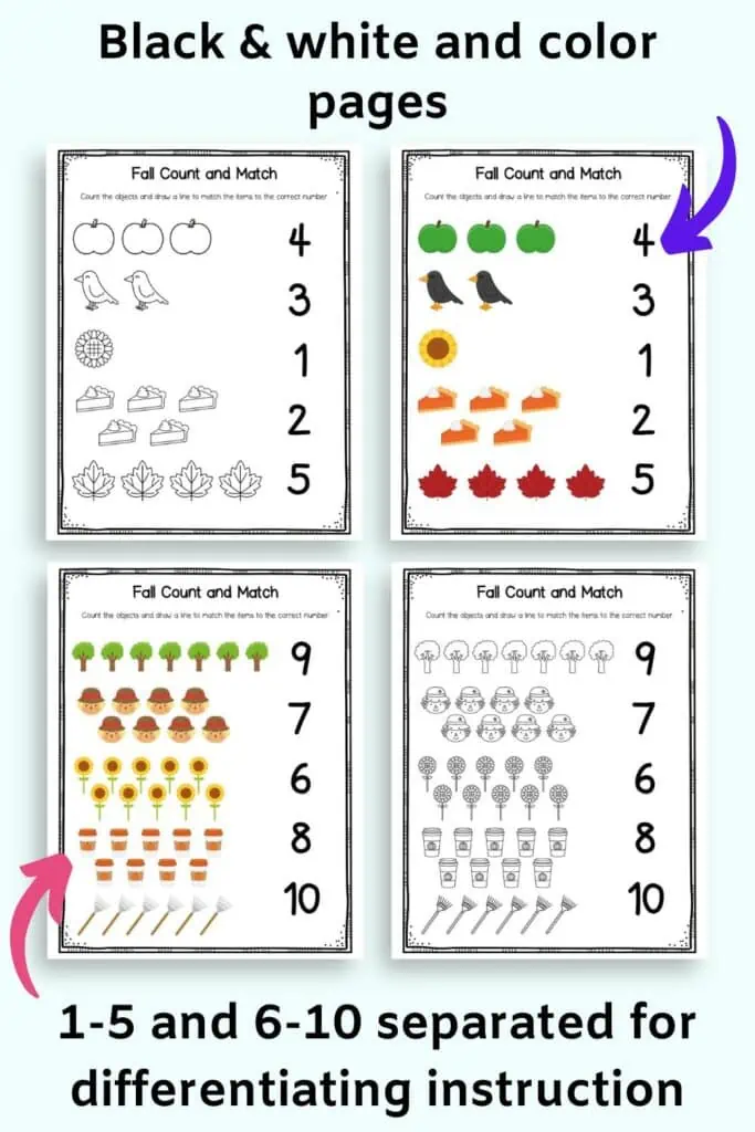 A preview of four fall themed number matching worksheets. To are color and two black and white. They are shown with the text "black & white and color pages" and "1-5 and 6-10 separated for differentiating instruction"