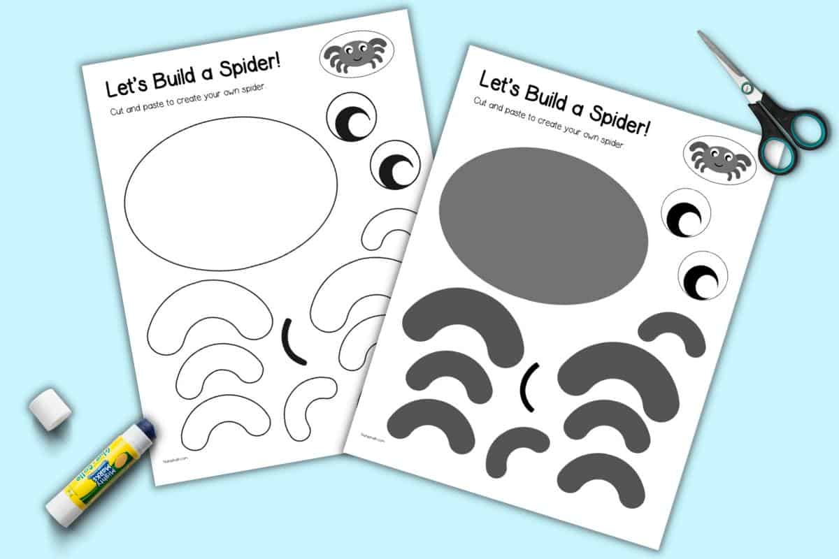 Spider Template Spider Template