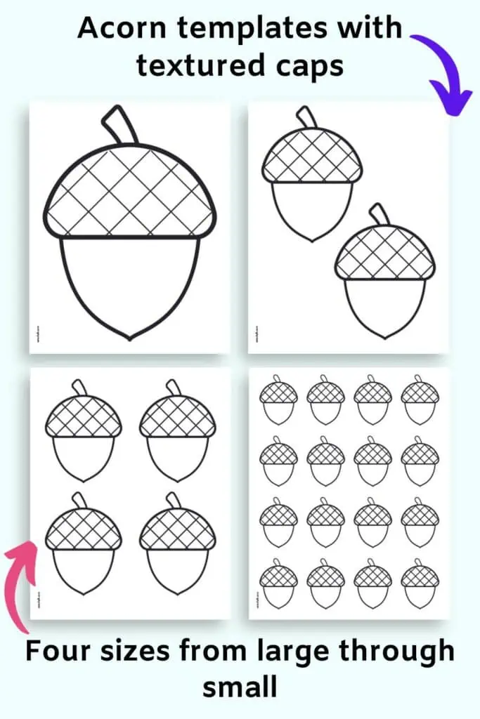 A preview of four pages of acorn template in different sizes. All acorns are black and white with crosshatching on their caps. Sizes include: full page, four to a page, two to a page, and small acorns with 16 on a page.