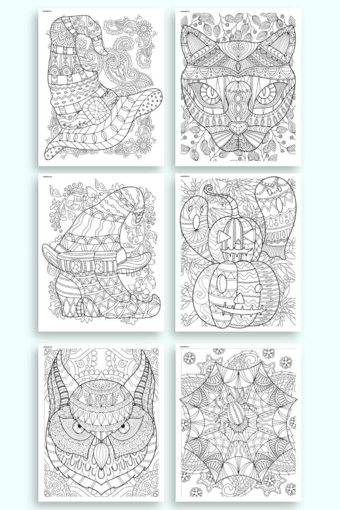 A preview of six detailed Halloween coloring pages for adults featuring: A witch's hat

A black cat face

A witch's boot and hat

Pumpkins with ghosts

An owl

A spider's web