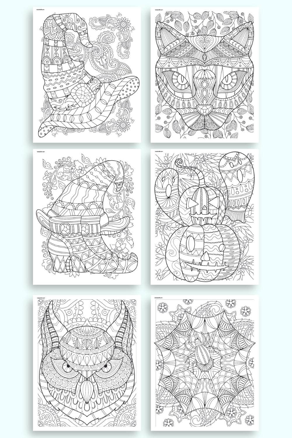 A preview of six detailed Halloween coloring pages for adults featuring: A witch's hat
A black cat face
A witch's boot and hat
Pumpkins with ghosts
An owl
A spider's web