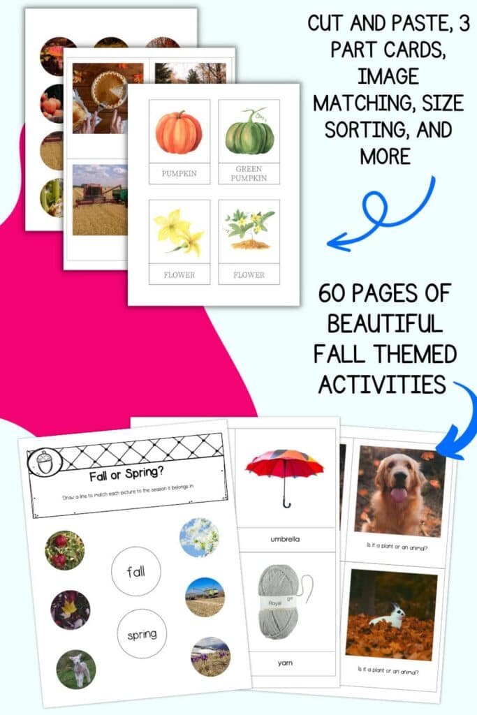 A preview of six pages from a fall themed learning pack with text "cut and paste, 3 part cards, image matching, size sorting, and more!" and "60 pages of beautiful fall themed activities" 