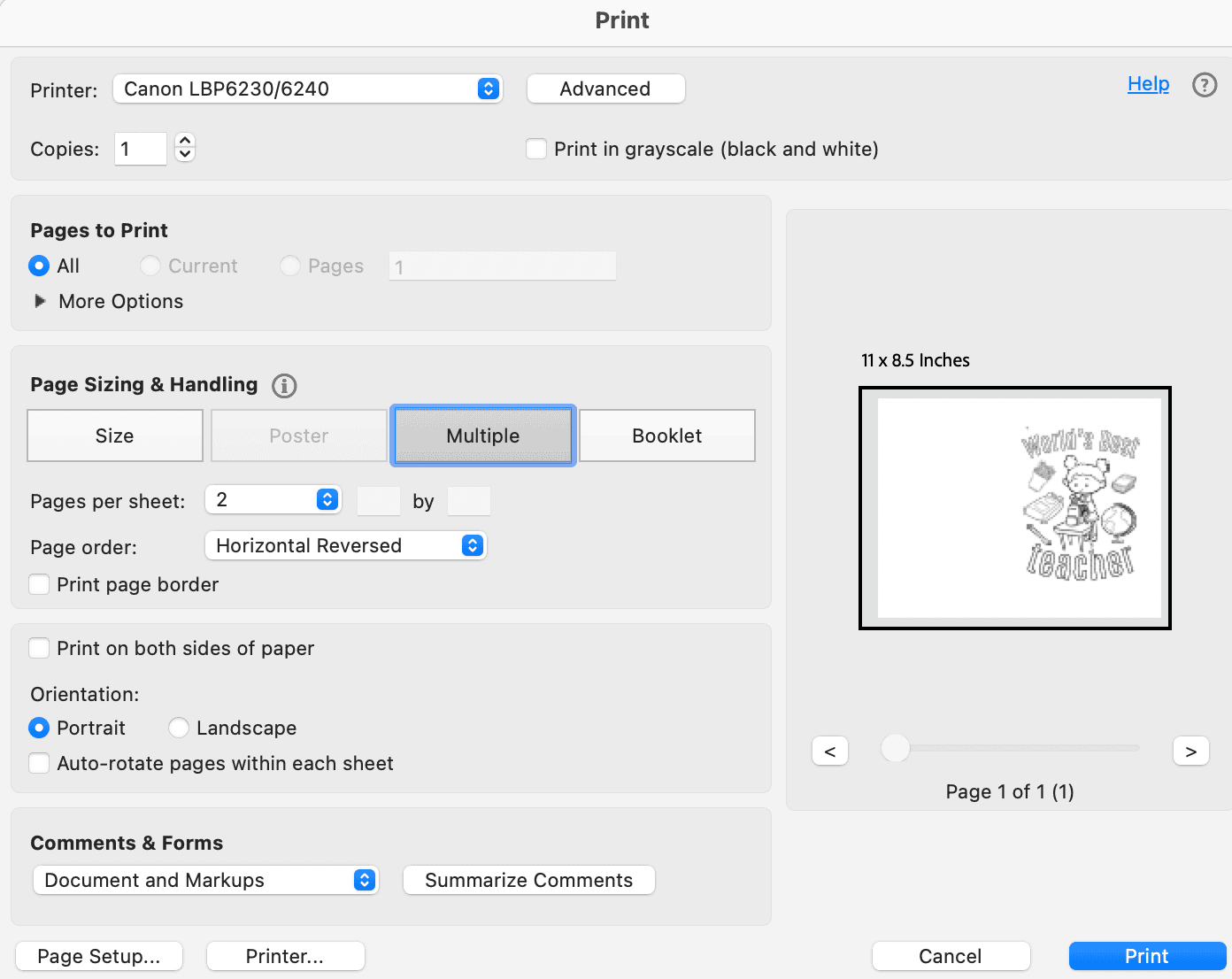 a print dialogue box showing how to print a single coloring page as a fold over card in Acrobat Reader