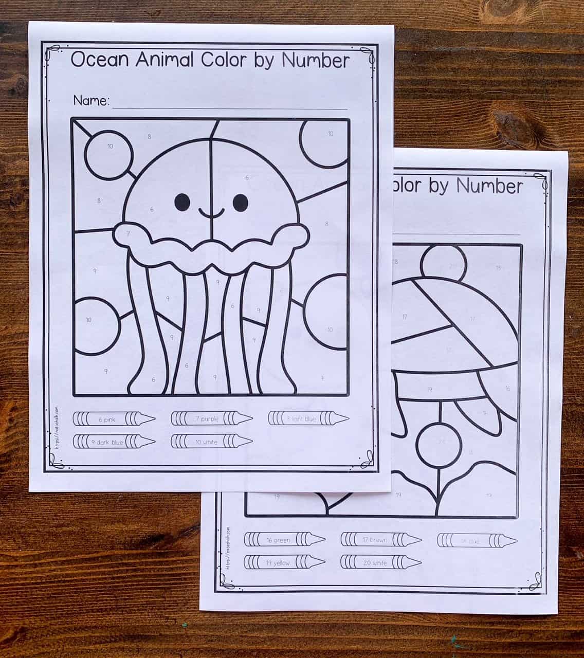 A photo of two ocean animal color by number worksheets. One shows a jellyfish and the other a sea turtle.