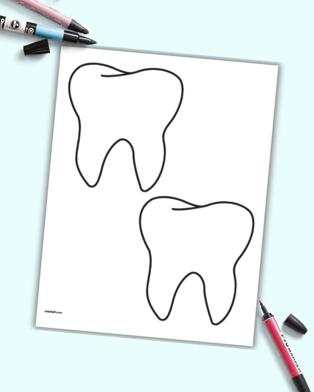 Two medium teeth templates on a single page  on a blue background