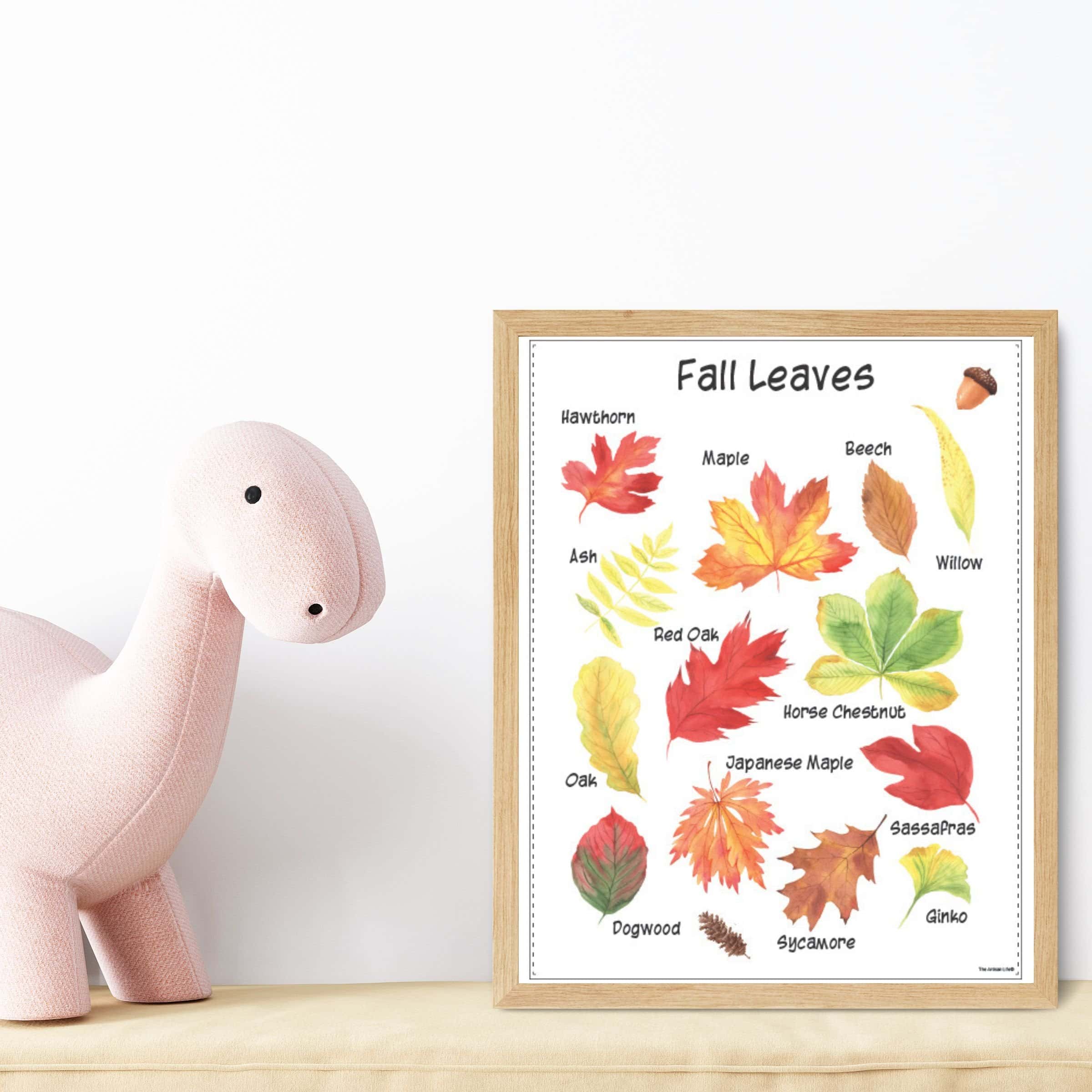 A fall leaves identification poster in a wood frame next to a stuffed dinosaur 