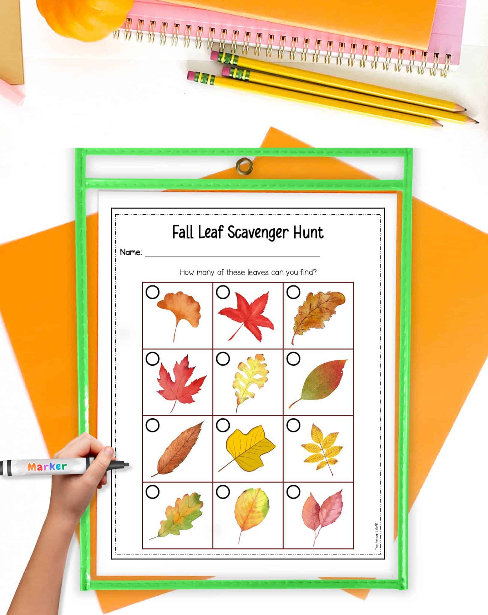 A fall leaf scavenger hunt for kids in a dry erase pocket on a desk with orange paper and pencils