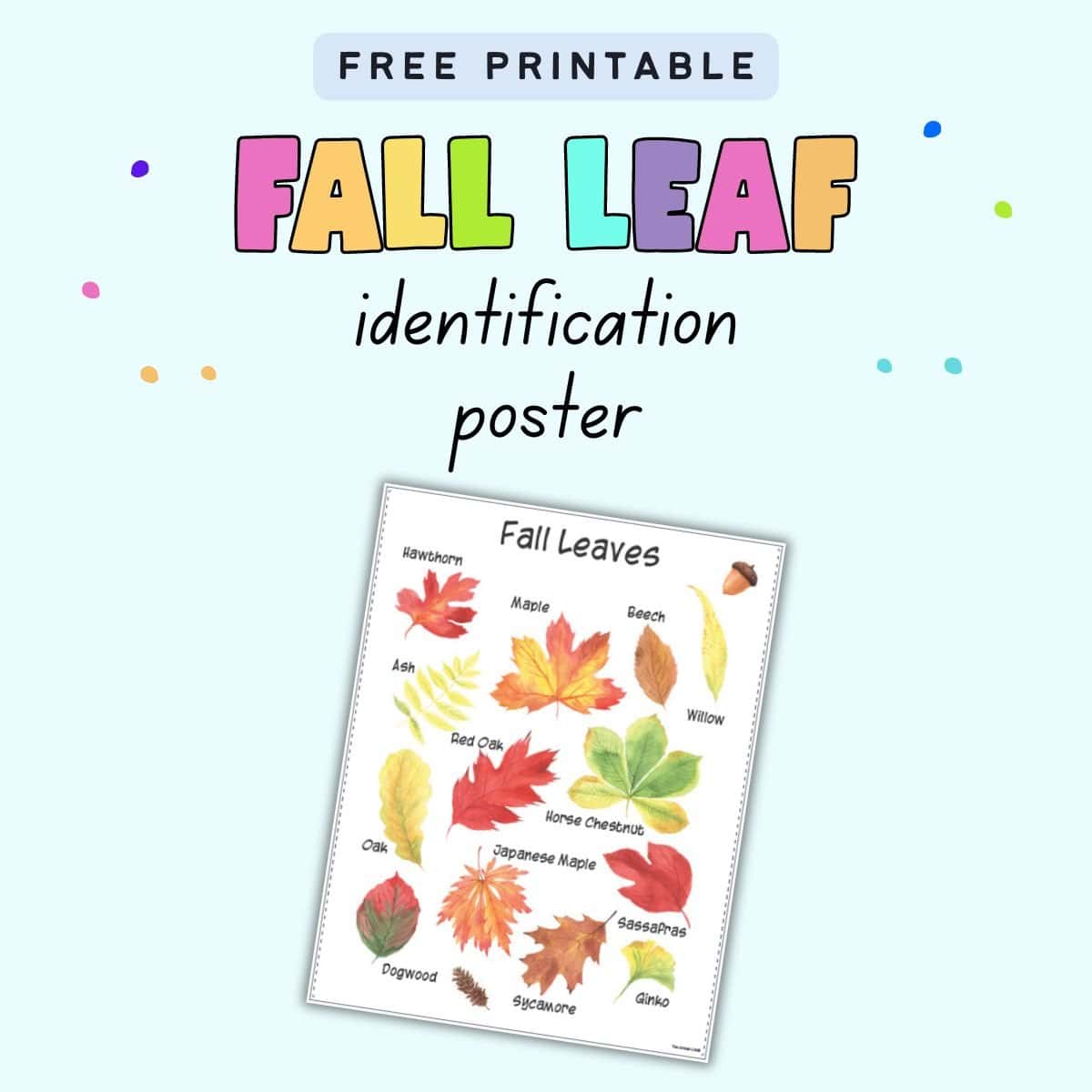 Text "free printable fall leaf identification poster" with a preview of a fall leaves poster