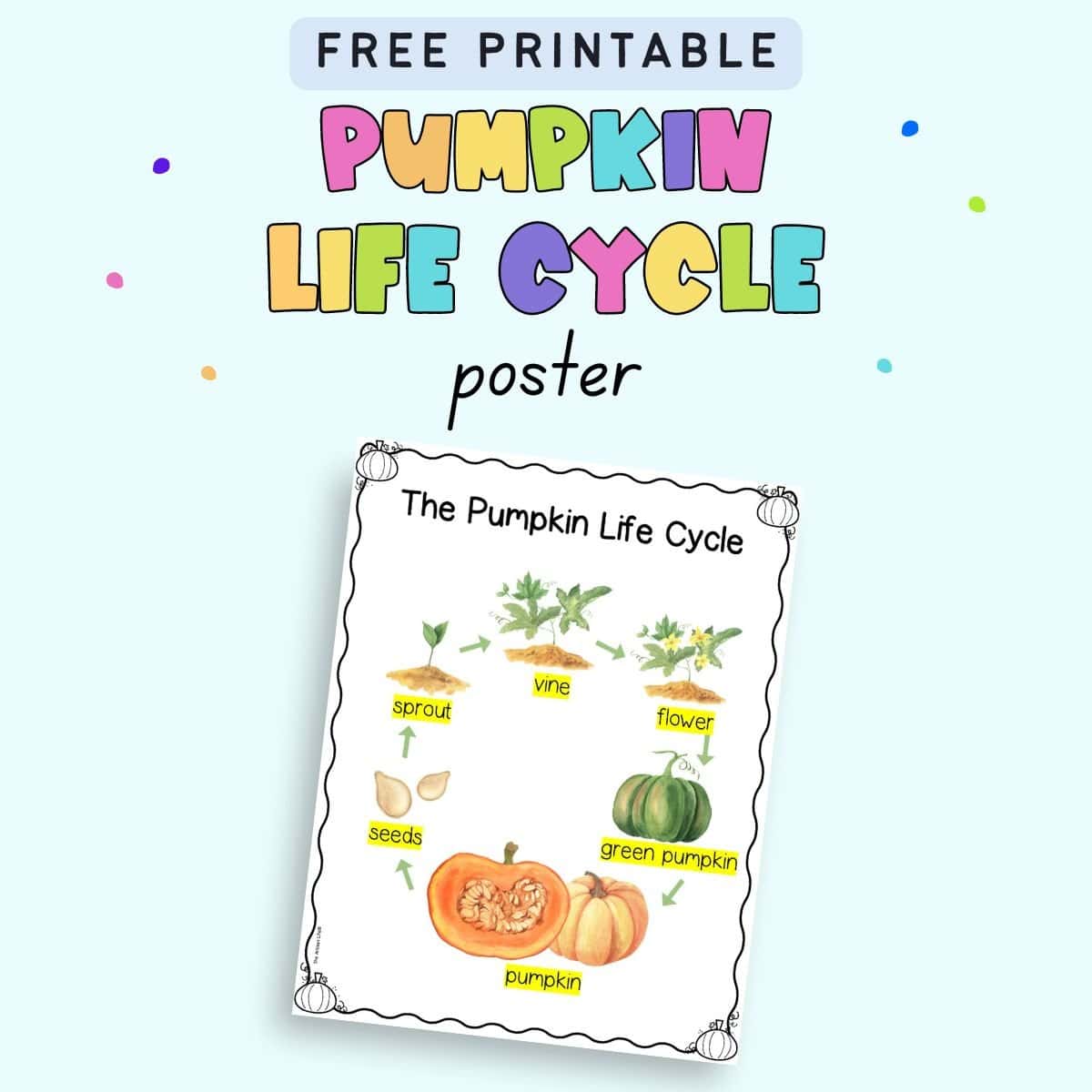 Text "free printable pumpkin life cycle poster" with a preview of a poster with watercolor illustrations of the pumpkin life cycle