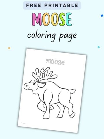 text "free printable moose coloring page" with a preview of a moose coloring page with the word "moose" in a bubble font to cool or trace