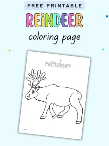 text "free printable reindeer coloring page" with a preview of a realistic reindeer coloring page with the word "reindeer" in bubble letters