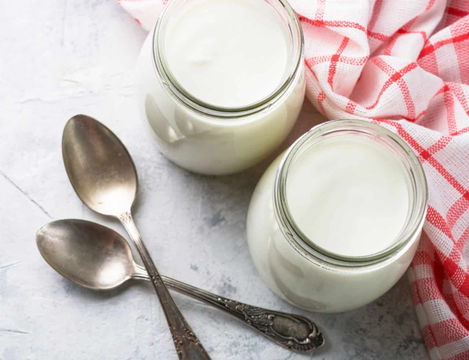 two wide mouth jars of homemade yogurt on a counter next to two spoons and a red check napkin