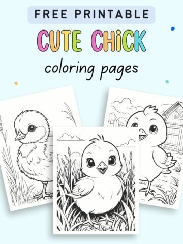 Text "free printable cute chick coloring pages" with a preview of three spring chick coloring sheets for kids