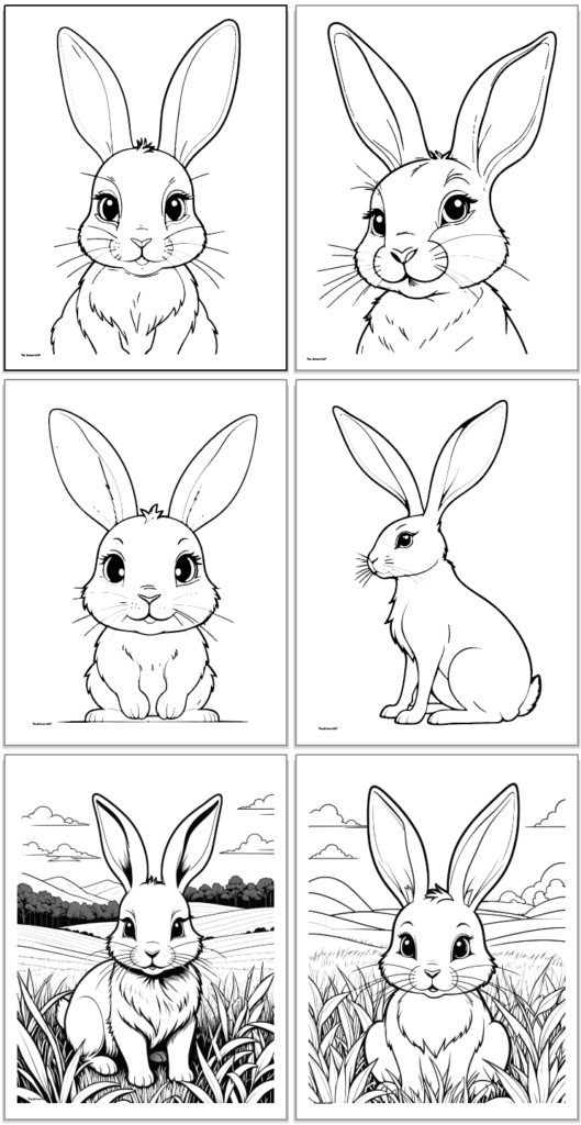 Free Printable Bunny Coloring Pages - The Artisan Life