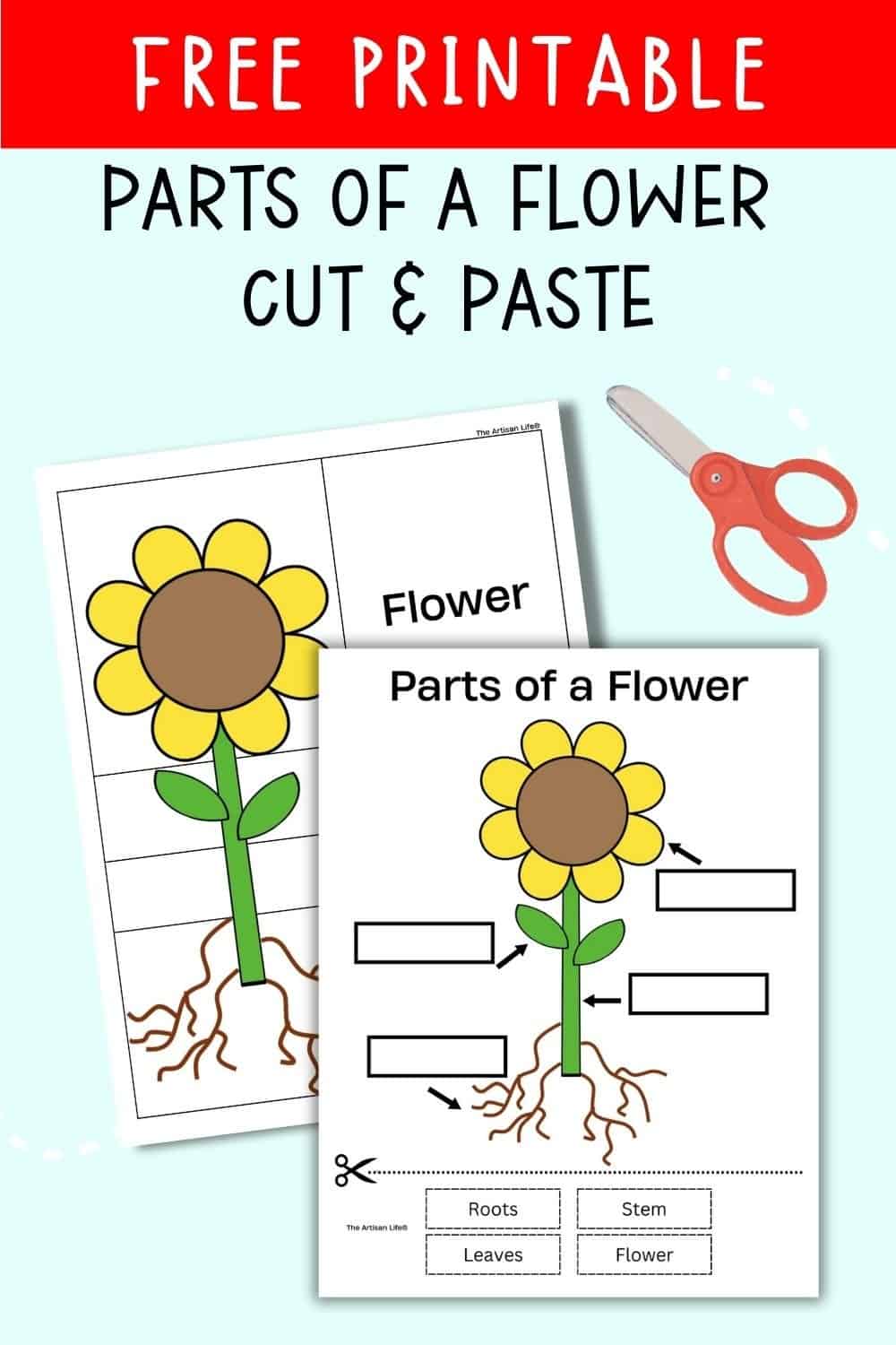 A colorful printable worksheet designed for preschool and kindergarten students, featuring a cut-and-paste activity that teaches the parts of a flower, including labels for roots, stem, leaves, and flower.
