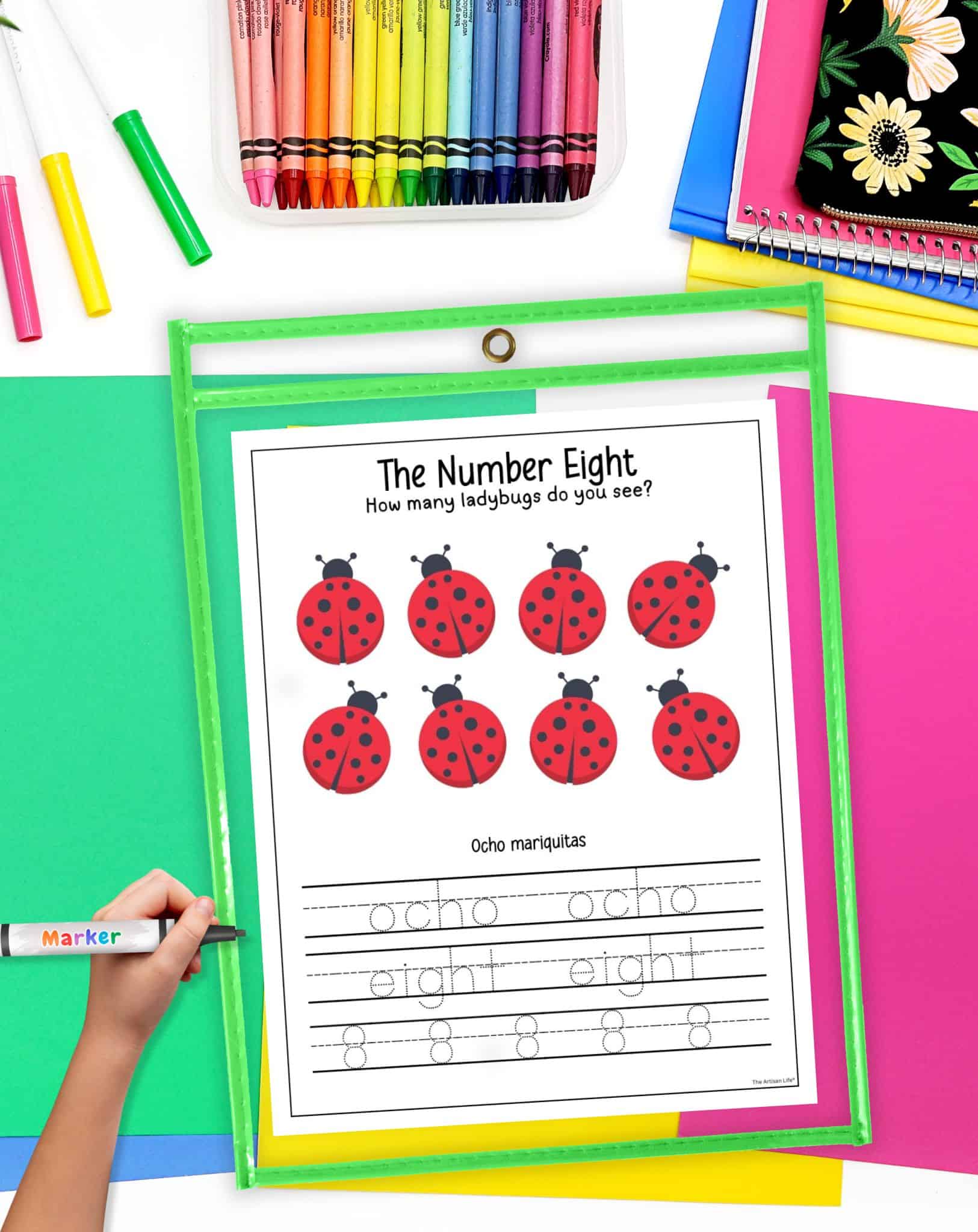 A child’s hand holds a marker above a worksheet titled "The Number Eight," featuring eight ladybugs, with sections for tracing the words "ocho" (Spanish for eight) and "eight," along with repeated numbers, surrounded by colorful educational materials.
