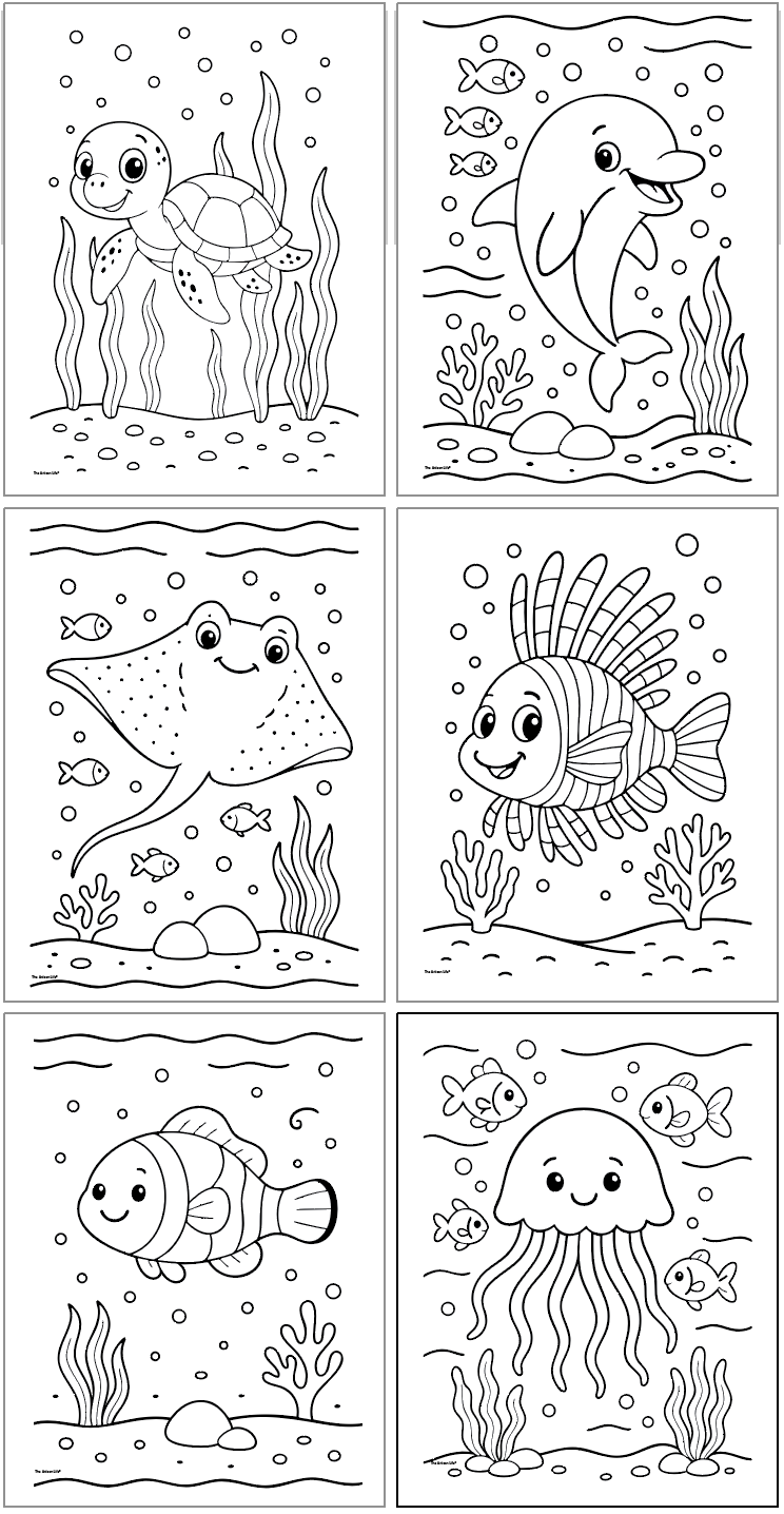 six bold and easy undersea animal coloring pages