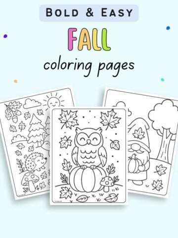 Three fall-themed coloring pages featuring an owl on a pumpkin, a hedgehog with mushrooms, and a gnome in an autumn setting, labeled as "Bold & Easy Fall Coloring Pages".