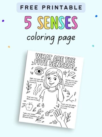 A coloring page for preschool children labeled "What are the Five Senses?" featuring illustrations and descriptions for sight, hearing, smell, touch, and taste, aimed at teaching the senses in a fun and engaging way.