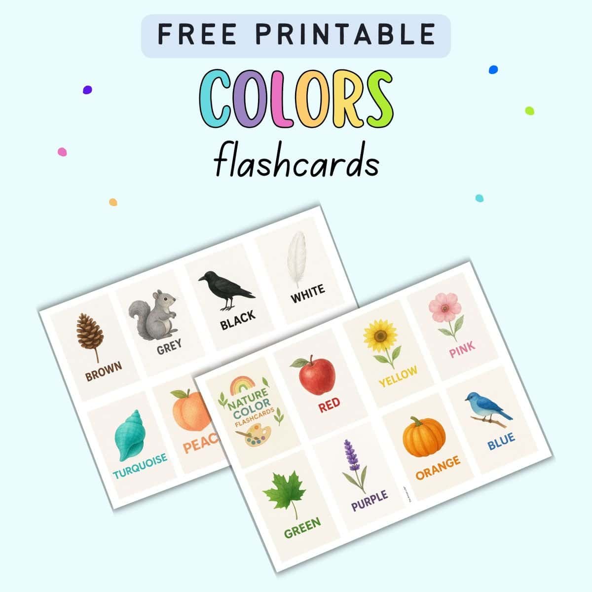 A graphic featuring free printable color flashcards for preschoolers, displaying color word cards with illustrations for various colors such as brown, grey, black, white, turquoise, peach, red, yellow, pink, green, purple, orange, and blue.