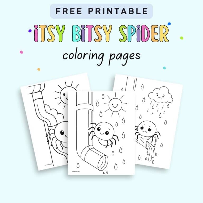 Free Printable Itsy Bitsy Spider Coloring Pages The Artisan Life
