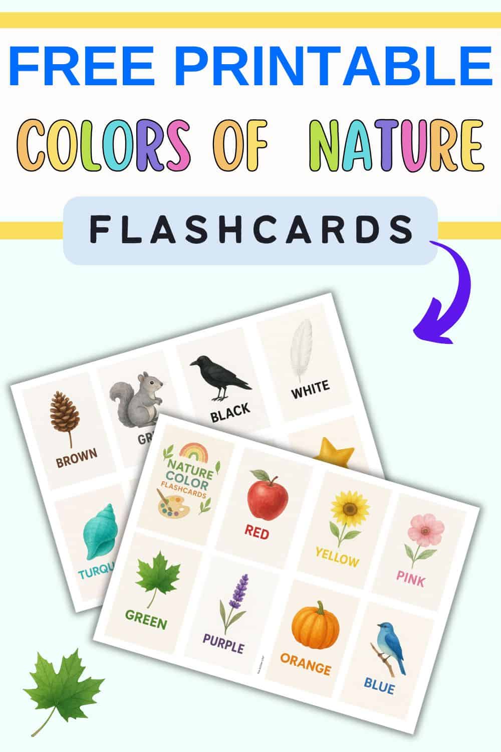 A layout of free printable color flashcards for preschoolers featuring various colors represented by images and color names, designed for educational use.
