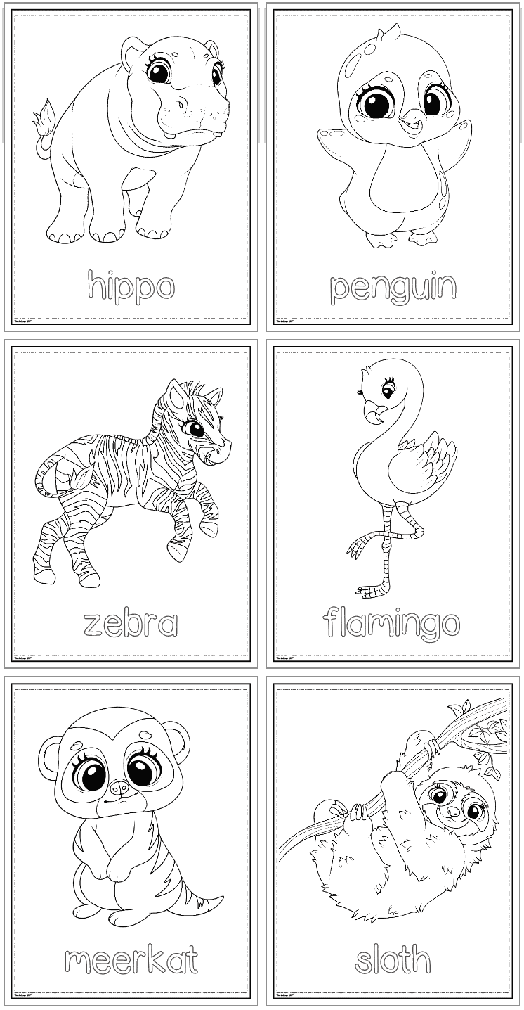 six zoo animal coloring pages including hippo, penguin, zebra, flamingo, meerkat, and sloth
