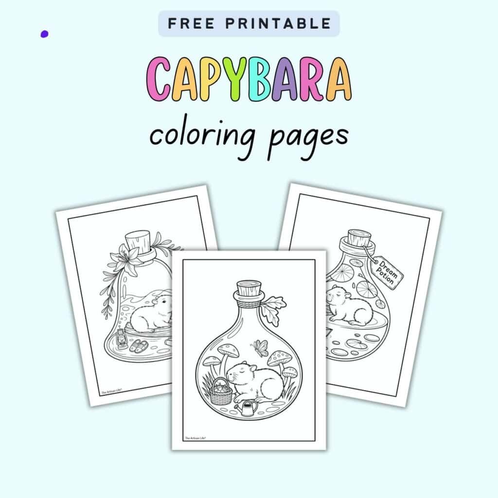 Free Printable Capybara in a Jar - Capybara In A Jar Coloring Pages 1024x1024 